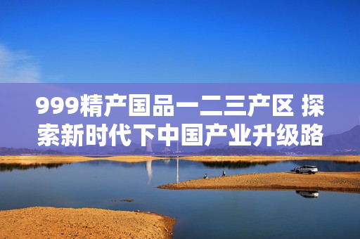 999精产国品一二三产区 探索新时代下中国产业升级路径