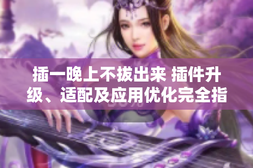 插一晚上不拔出来 插件升级、适配及应用优化完全指南 