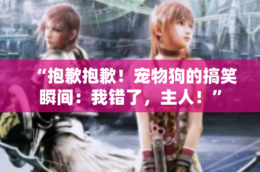 “抱歉抱歉！宠物狗的搞笑瞬间：我错了，主人！”