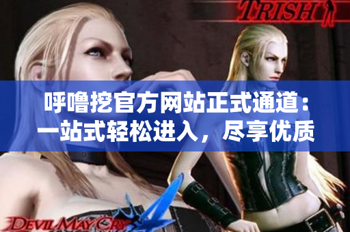 呼噜挖官方网站正式通道：一站式轻松进入，尽享优质服务