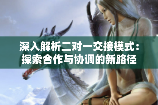 深入解析二对一交接模式：探索合作与协调的新路径