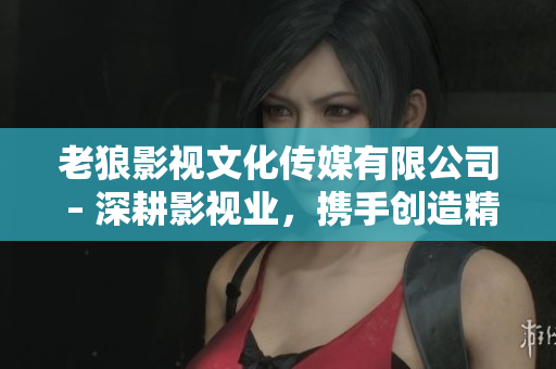 老狼影视文化传媒有限公司 – 深耕影视业，携手创造精彩！