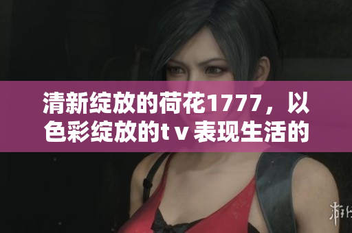 清新绽放的荷花1777，以色彩绽放的tⅴ表现生活的美好