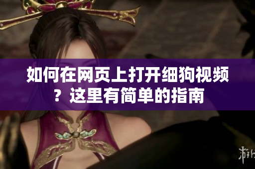 如何在网页上打开细狗视频？这里有简单的指南