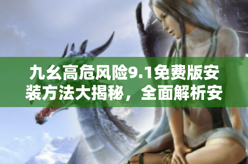 九幺高危风险9.1免费版安装方法大揭秘，全面解析安装步骤及注意事项