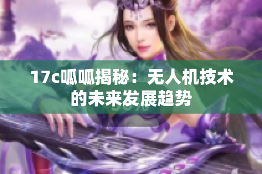 17c呱呱揭秘：无人机技术的未来发展趋势