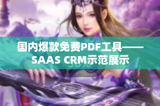国内爆款免费PDF工具——SAAS CRM示范展示
