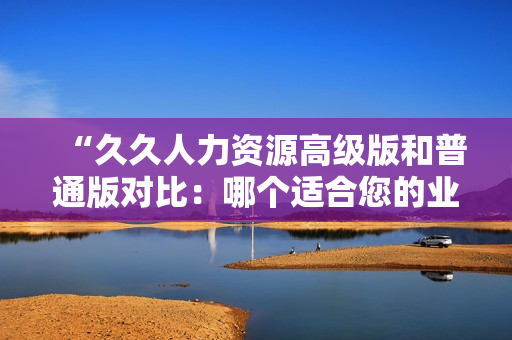 “久久人力资源高级版和普通版对比：哪个适合您的业务需求？”