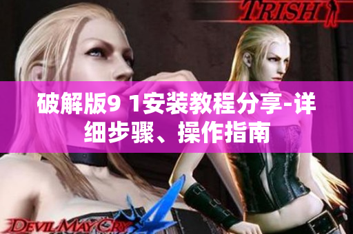 破解版9 1安装教程分享-详细步骤、操作指南