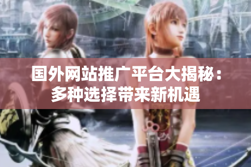 国外网站推广平台大揭秘：多种选择带来新机遇