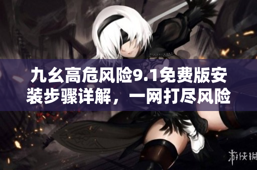 九幺高危风险9.1免费版安装步骤详解，一网打尽风险隐患！