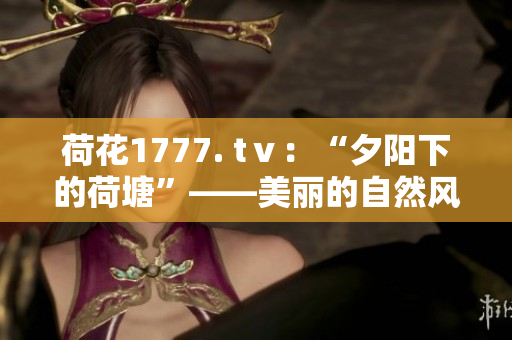 荷花1777. tⅴ：“夕阳下的荷塘”——美丽的自然风光