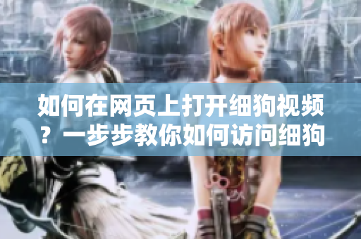 如何在网页上打开细狗视频？一步步教你如何访问细狗视频网页版