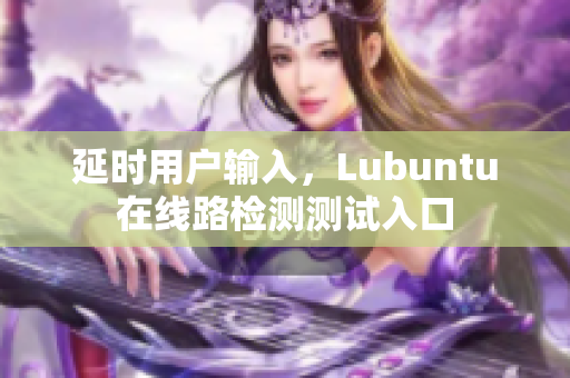 延时用户输入，Lubuntu在线路检测测试入口