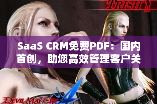 SaaS CRM免费PDF：国内首创，助您高效管理客户关系
