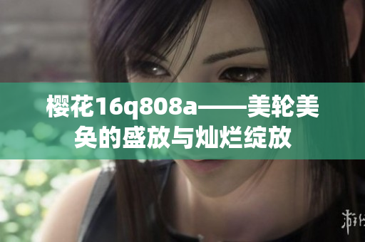 樱花16q808a——美轮美奂的盛放与灿烂绽放