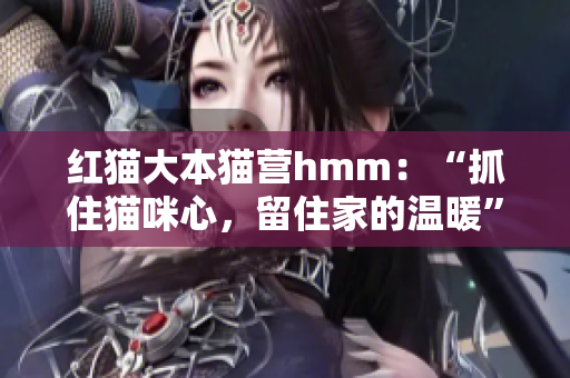 红猫大本猫营hmm：“抓住猫咪心，留住家的温暖” – 萌宠与家庭融合的完美诠释