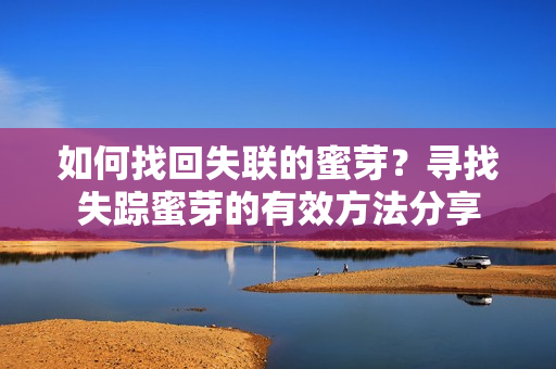 如何找回失联的蜜芽？寻找失踪蜜芽的有效方法分享