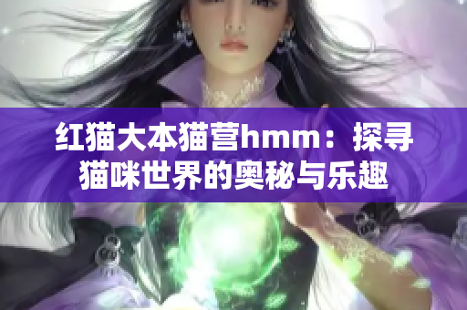 红猫大本猫营hmm：探寻猫咪世界的奥秘与乐趣