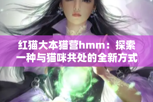 红猫大本猫营hmm：探索一种与猫咪共处的全新方式