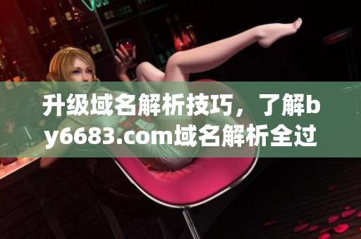升级域名解析技巧，了解by6683.com域名解析全过程