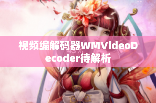 视频编解码器WMVideoDecoder待解析