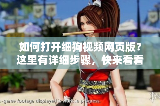 如何打开细狗视频网页版？这里有详细步骤，快来看看吧