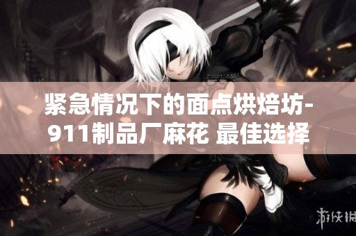 紧急情况下的面点烘焙坊-911制品厂麻花 最佳选择