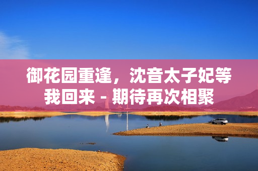 御花园重逢，沈音太子妃等我回来 - 期待再次相聚