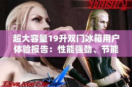 超大容量19升双门冰箱用户体验报告：性能强劲、节能静音非常满意