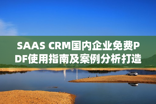 SAAS CRM国内企业免费PDF使用指南及案例分析打造高效销售管理系统