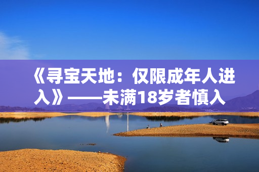 《寻宝天地：仅限成年人进入》——未满18岁者慎入
