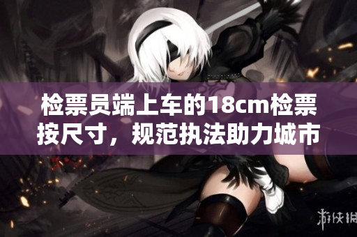 检票员端上车的18cm检票按尺寸，规范执法助力城市交通管理