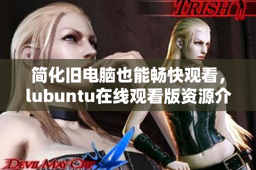简化旧电脑也能畅快观看，lubuntu在线观看版资源介绍