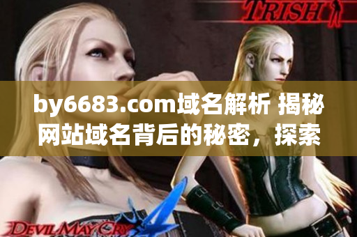 by6683.com域名解析 揭秘网站域名背后的秘密，探索网址隐藏的故事