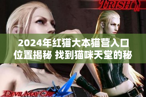 2024年红猫大本猫营入口位置揭秘 找到猫咪天堂的秘密通道