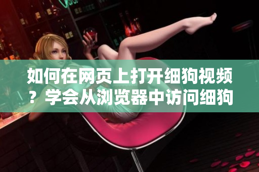 如何在网页上打开细狗视频？学会从浏览器中访问细狗视频网页版