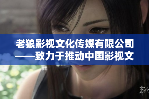老狼影视文化传媒有限公司——致力于推动中国影视文化创新与发展