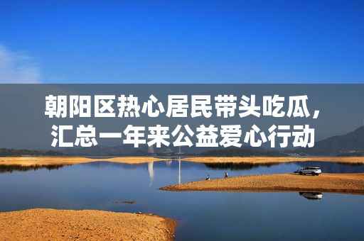 朝阳区热心居民带头吃瓜，汇总一年来公益爱心行动