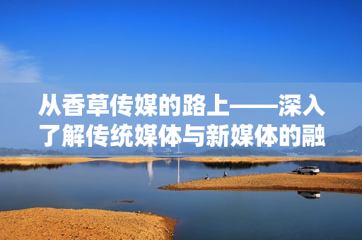 从香草传媒的路上——深入了解传统媒体与新媒体的融合发展及前景展望
